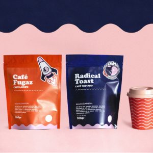 CRÉEZ VOTRE SITE WEB PROFESSIONNEL EN 2 JOURS AVEC WORDPRESS