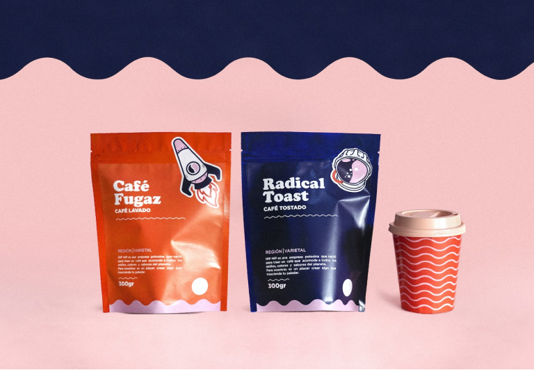 CRÉEZ VOTRE SITE WEB PROFESSIONNEL EN 2 JOURS AVEC WORDPRESS